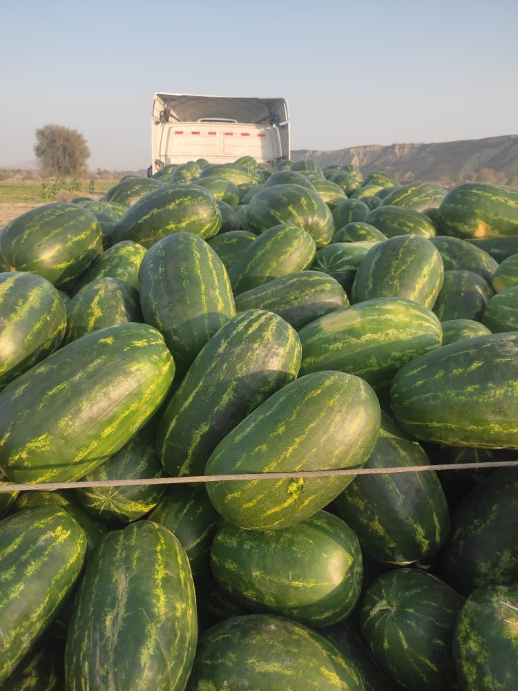 قیمت رقابتی و منصفانه