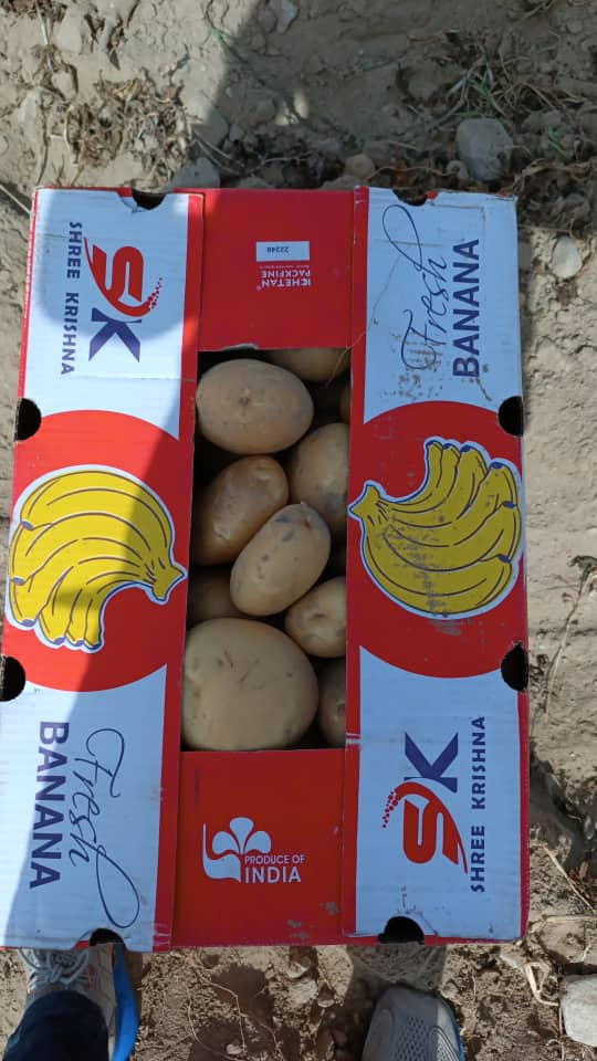 توزیع سریع و مطمئن