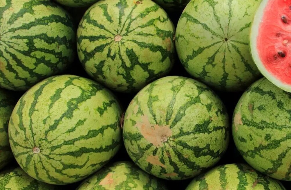 معرفی سورتینگ و میدان بار مقصودی در جیرفت