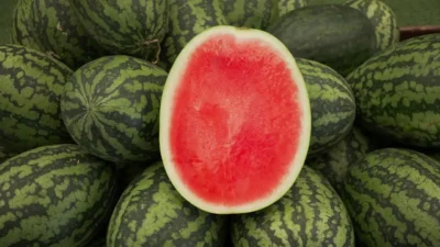 سورتینگ محصولات کشاورزی و میوه‌جات